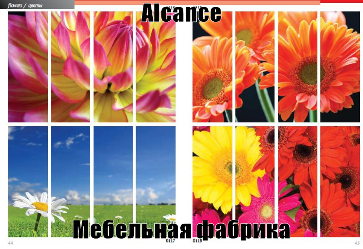 Фотопечать цветы